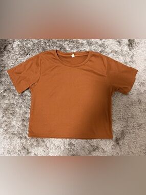 Basic Crewneck Tee in Rust